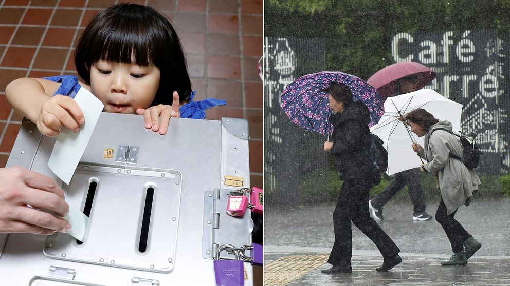 En liten flicka hjälper sina föräldrar att stoppa ner ett röstkuvert. Hårda vindar från stormen Lan har komplicerat röstandet för vissa japaner.