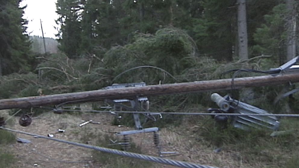 Det blev strömlöst för många den 28 oktober efter omfattande trädfällning över elledningar, såsom här någonstans i Halland.