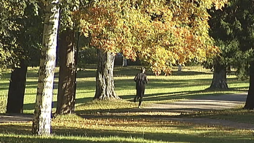 Månaden inleddes med krispigt kalla nätter följda av vackra, soliga dagar, som här i Boulognerskogen i Gävle den 3 oktober.