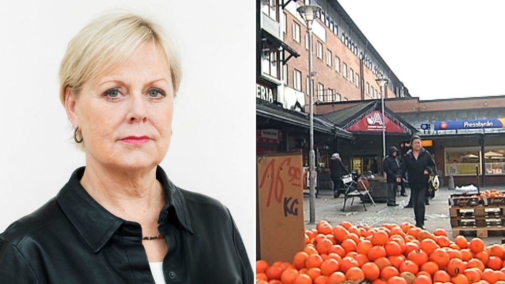 Lena Ag blir generaldirektör för den nya Jämställdhetsmyndigheten