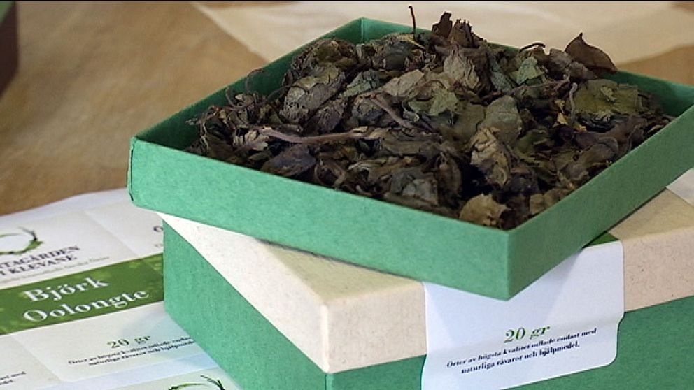 Ett fermenterat te av björklöv vann brons i SM