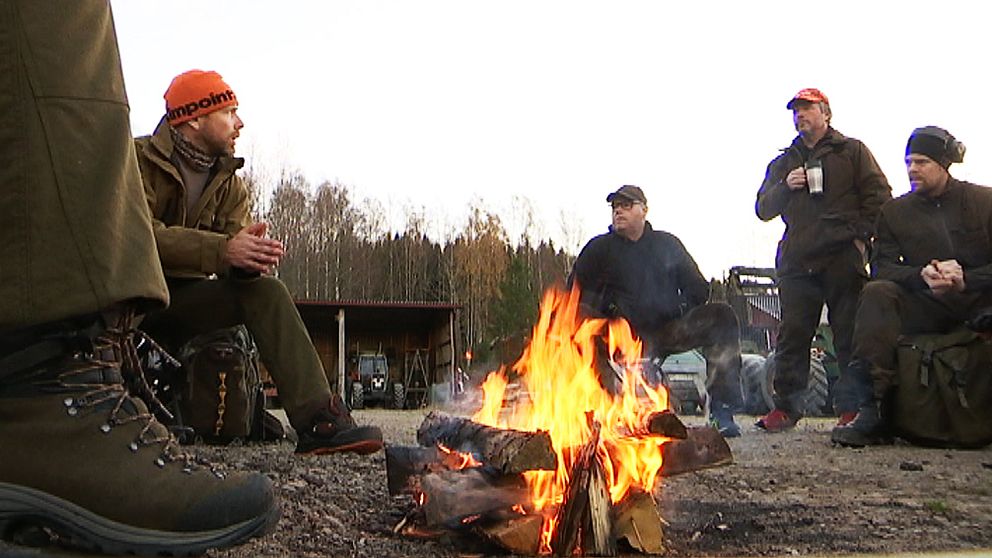 Jägarna i Gunneruds jaktlag i Östra Ämtervik samlas kring en nytänd brasa vid halv åttatiden på morgonen