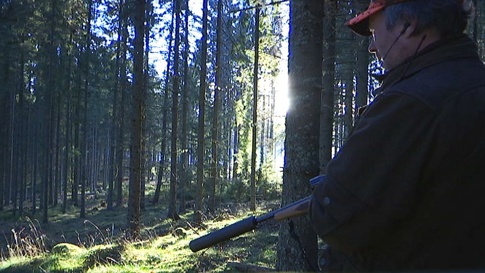 Jägarna i Gunnerud jagar i ett 20 000 hektar stort område i Sunne sydöstra/Ena kronskötselområde