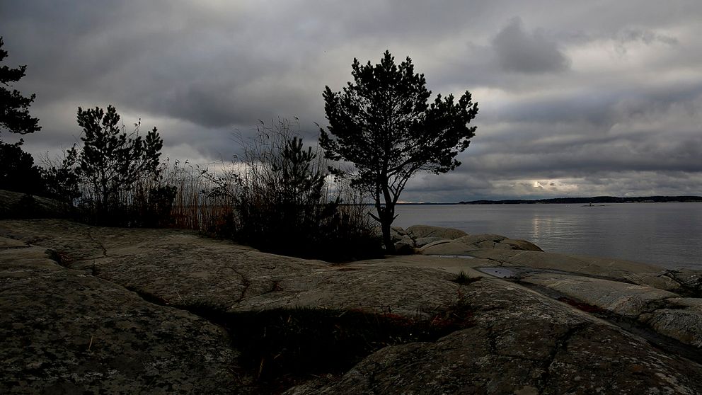 Oxnö i Stockholms skärgård