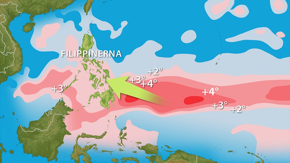 Det var höga temperaturer 100 m ned i havet i området där Haiyan bildades.