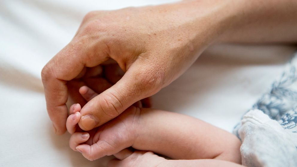 Vuxen hand håller spädbarns hand.