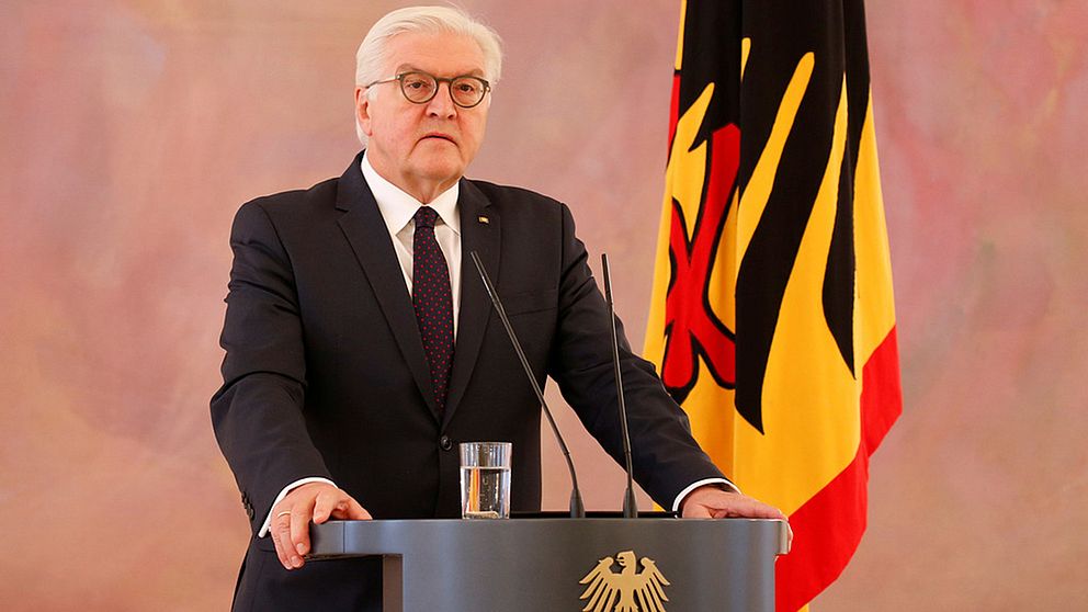 Tysklands president Frank-Walter Steinmeier vill att de valda politikerna tar sitt ansvar och bildar regering.