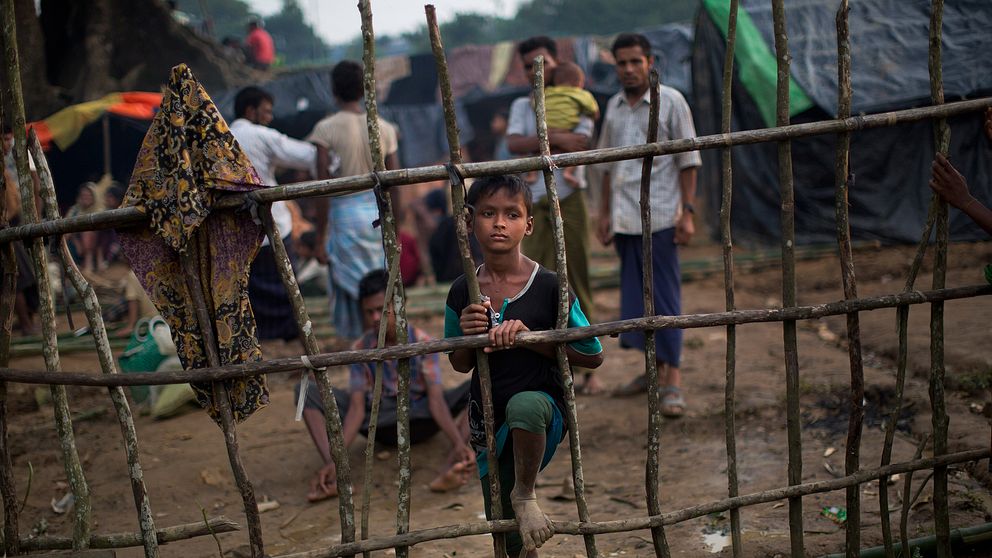 Ett barn från rohingyafolket klättrar på staket i ett flyktingläger i Bangladesh.