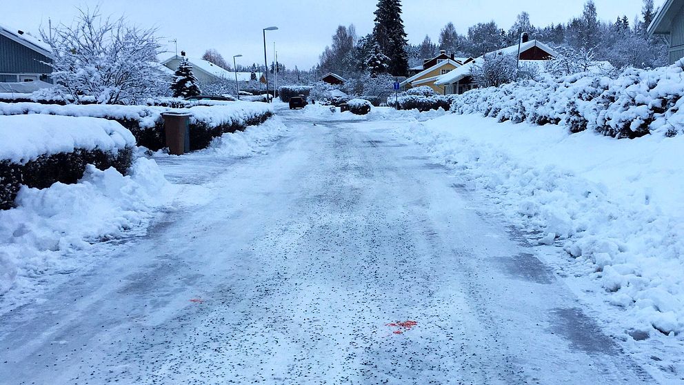 gata i villaområde vintertid, en blodfläck syns på marken