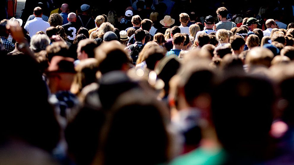 På bilden syns en musikfestival som inte har samband med artikeln.