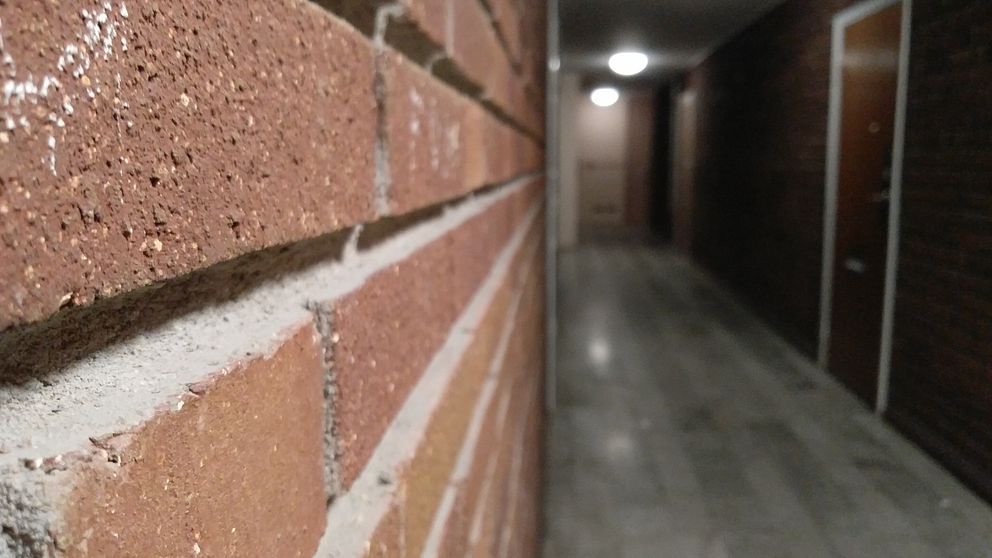 En korridor med en lägenhetsdörr i bakgrunden. I förgrunden syns en tegelvägg.