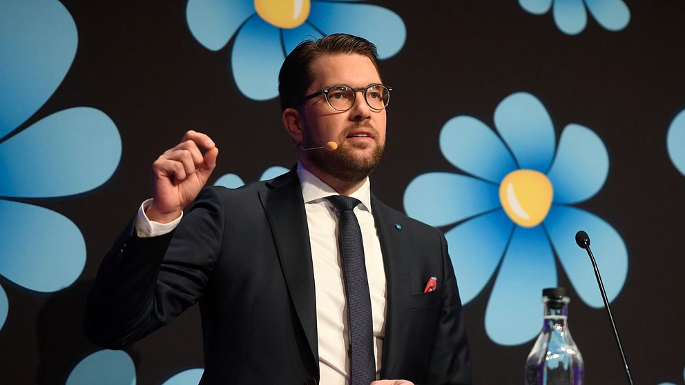 Jimmie Åkesson framför en bakgrund med Sverigedemokraternas logga på, som föreställer en blå blomma.