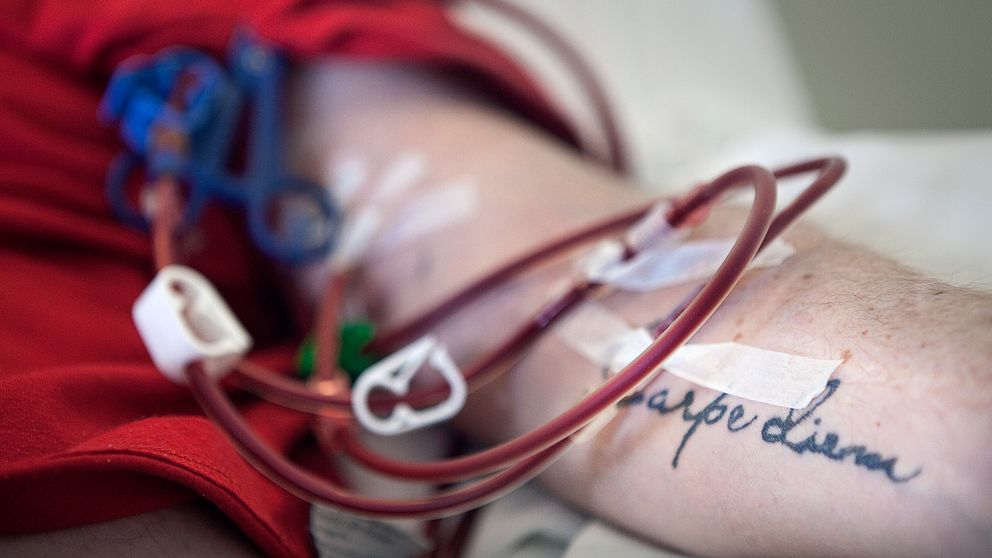 Bild inzoomat på en mans arm med tatueringen ”Carpe Diem”. Flera blodfyllda slangar är fästa vid armen.