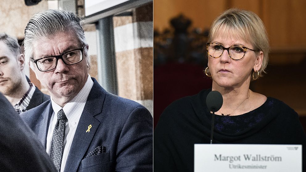 Moderaternas forsvarspolitiske talesperson Hans Wallmark riktar kritik mot Margot Wallström.