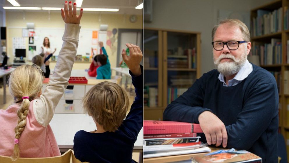 Utredning om språkutveckling på remiss