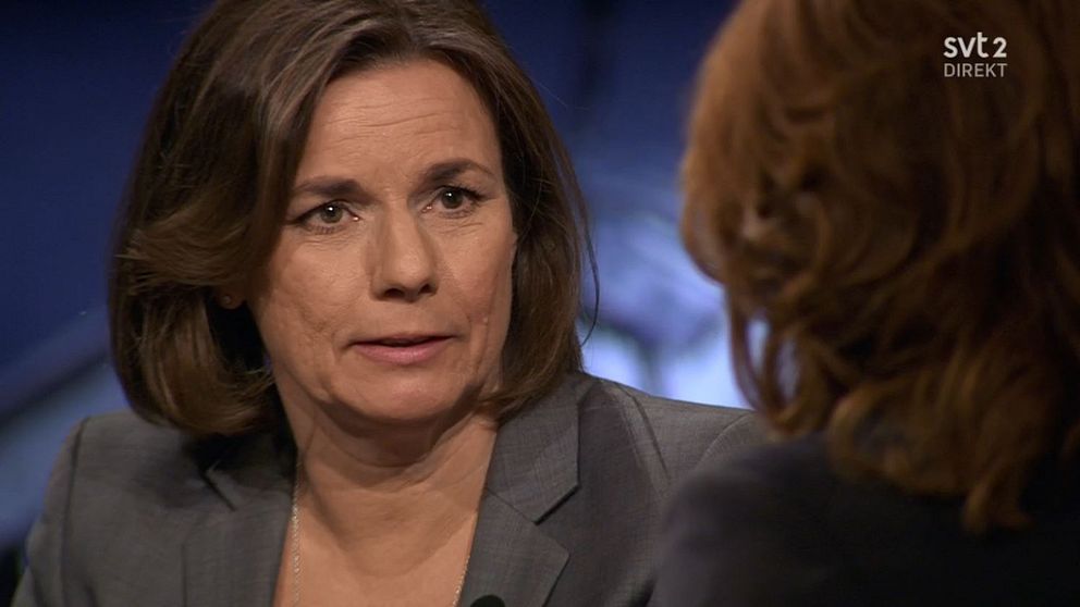 Miljöpartiets språkrör Isabella Lövin menar att den upptrissade retoriken om säkerhetsläget i Sverige tar för stor plats i debatten.