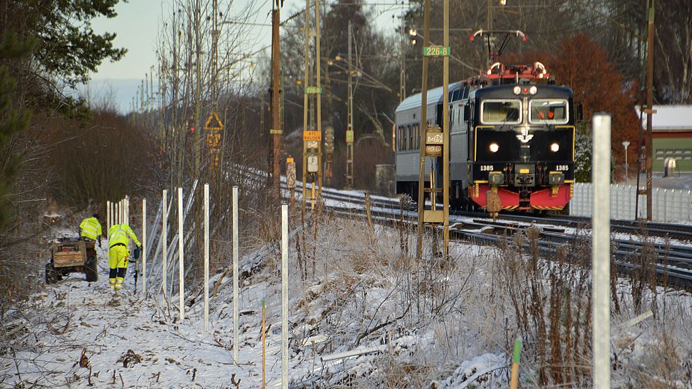 Stängsling av järnväg. Skyddande staket sätts upp, svart lok passerar.