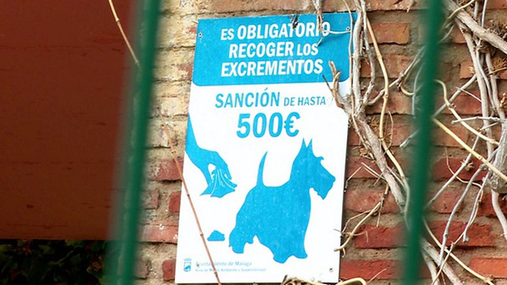 Nästan 5000 kronor får man böta i Malaga om man inte plockar upp efter sin hund.