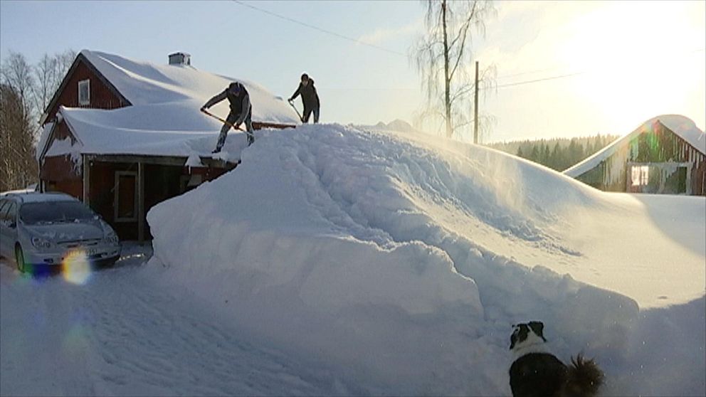 Snön går ända upp till hustaket på vissa av husen i Gåltjärn.