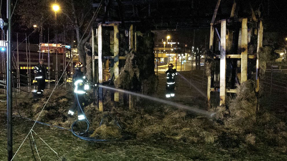 Här släcker brandmännen Julbocken i Gävle 2013.