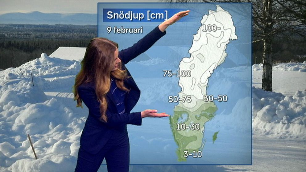 SVT:s meteorolog Tora Tomasdottir: Så här stor del av Sverige har mycket snö