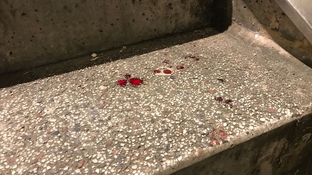 blodspår i trappa