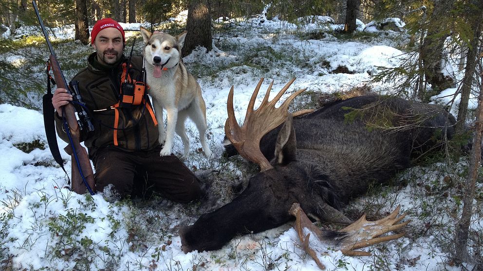 Magnus Bidner i Sorsele jagar både älg och småvilt och använder blykulor i älgjakten av gammal vana.