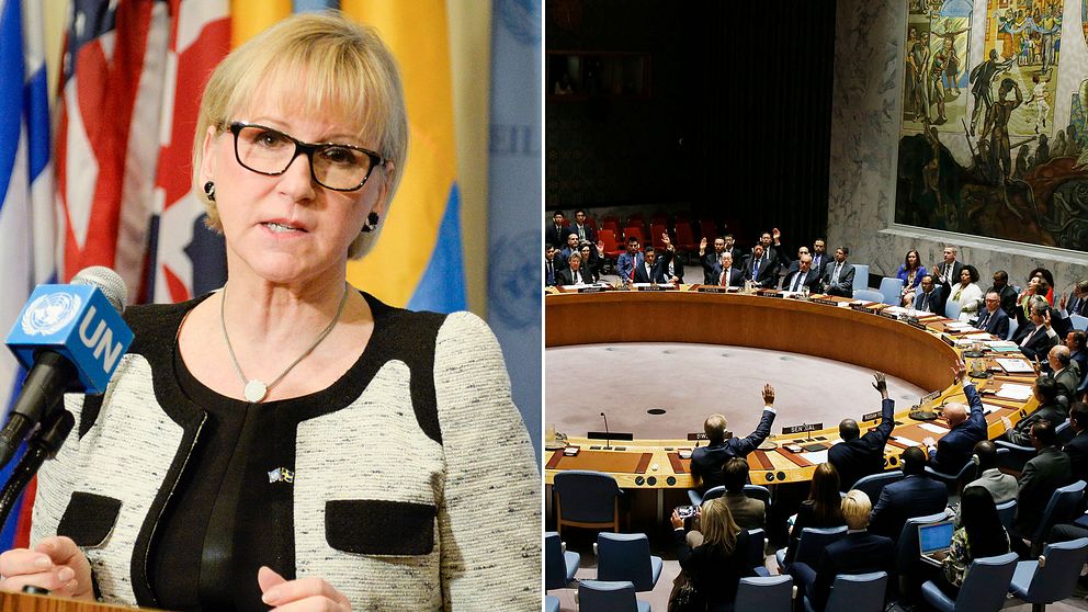 Utrikesminister  Margot Wallström (S).