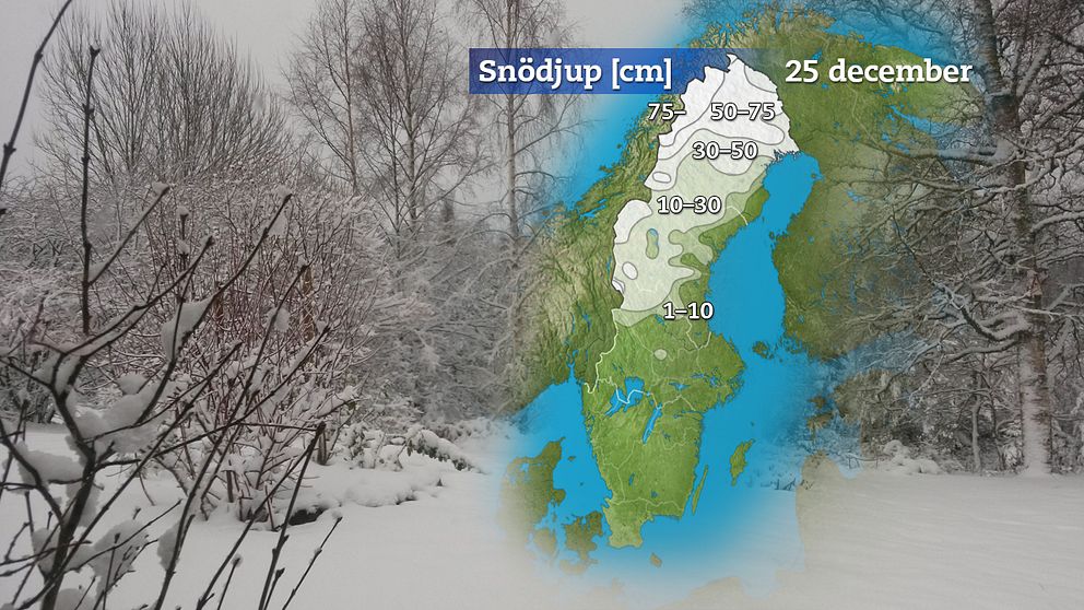 Snödjupskarta för juldagsmorgonen. Det var betydligt mindre snö än normalt över julhelgen, och det blev en grön jul för många svenskar.