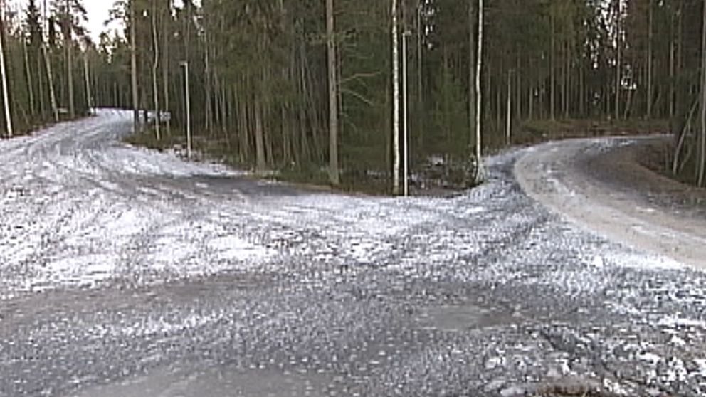 Mycket skralt med snö i skidspåren i Umeå den 18 december, och det är just i Umeå som vintersporternas SM-vecka ska genomföras den 14–19 januari.