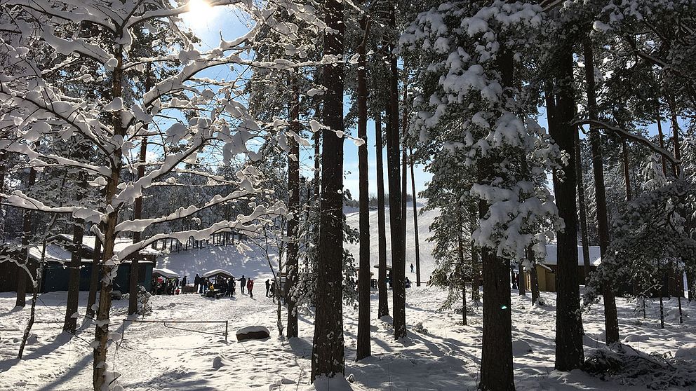2018 bjuder på den snöigaste sportlovsveckan på fem år i Kalmar och Kronobergs län, visar statistik från SMHI.