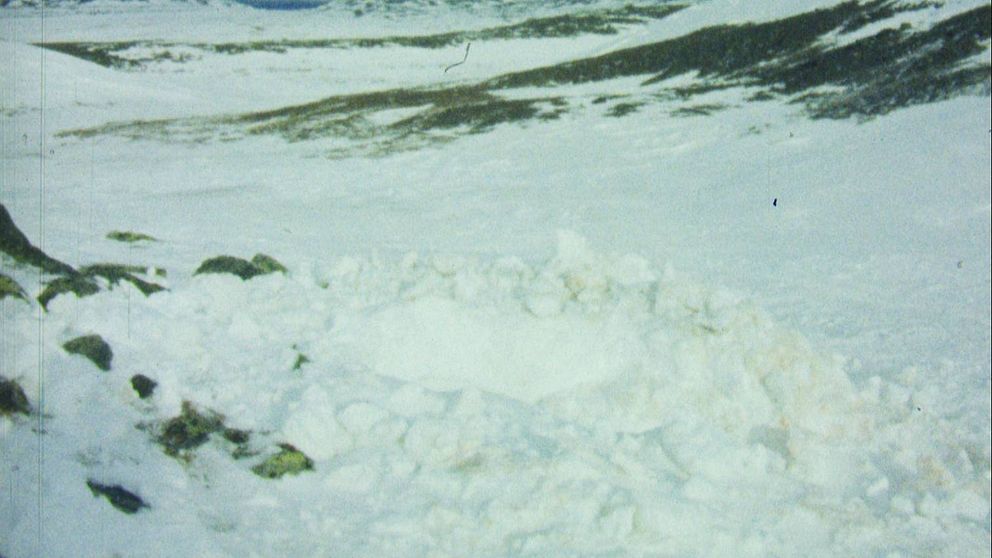 grop och snöhög i dalgång i fjäll