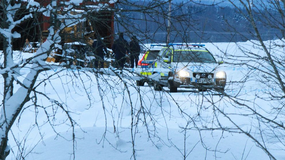 polisbilar, personer ses genom grenar, vinter