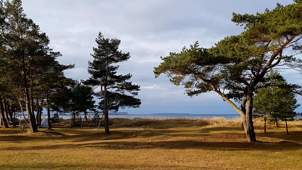 Solen skiner Björkhaga på Gotland.