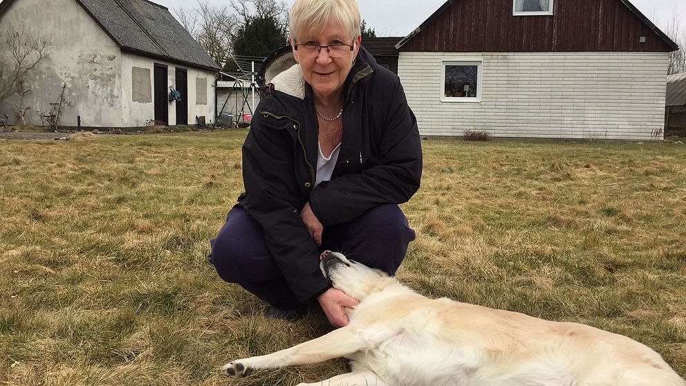 Det blev en annorlunda natt för grannen Lillemor Svensson och hunden Sally som vaknade av blåljus utanför fönstren.