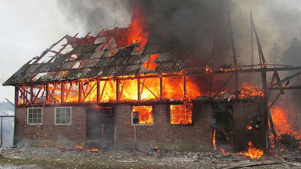 Räddningstjänsten lyckades få ut 6-7 hönor men resten brann inne i  ladugården under den häftiga branden.