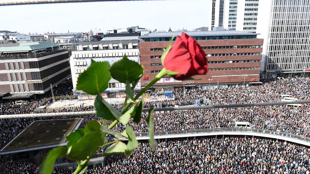 En ros ovanför folkmassan under en demonstration mot terrorn på Sergels torg