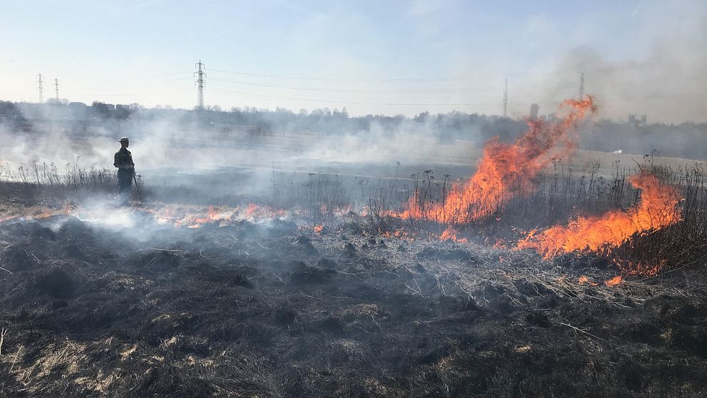 Gräsbrand.