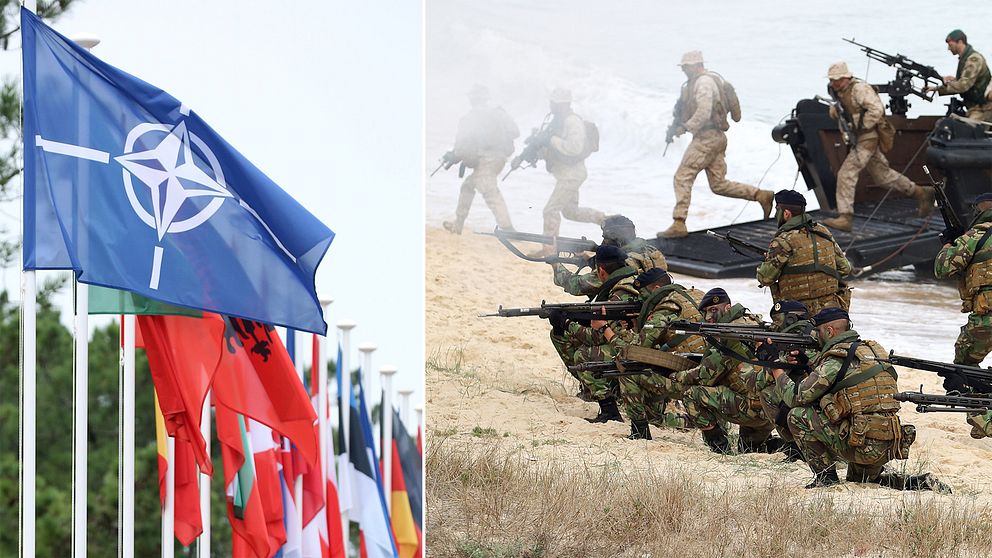 Här landstiger brittiska och portugisiska soldater i Portugal vid Natoövningen Trident Juncture i Troia i Portugal 2015. Till vänster Natoflaggan.