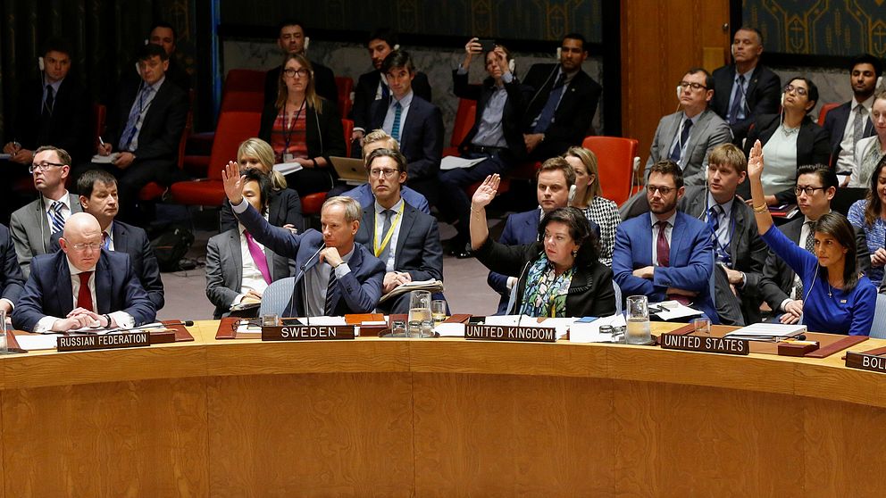 FN-ambassadörer från flera länder röstar genom att hålla upp händer.