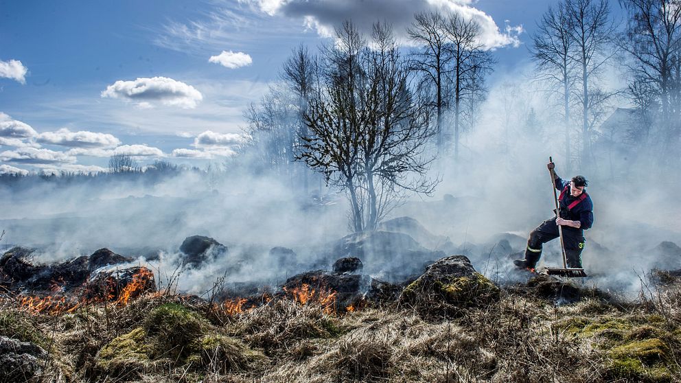 en brandman går med en kvast bland rykande gräs och stenar, små eldsflammor, träd i bakgrund