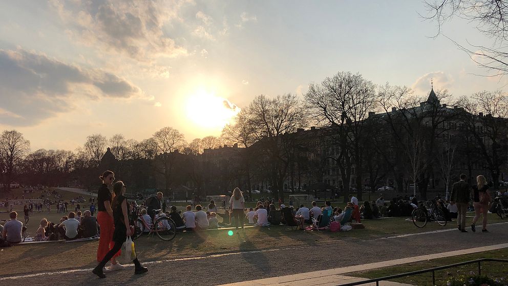 Vasaparken i Stockholm fylldes av folk under fredagen. Alla som gläds åt att sommaren är här får dock räkna med ett bakslag när kallare temperaturer drar in över landet i veckan.
