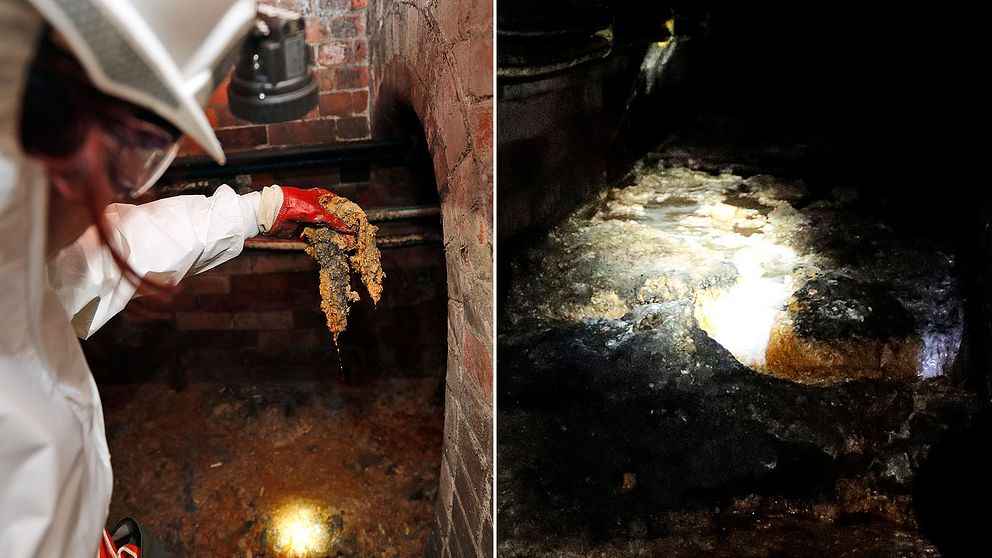 Fettklumpen i Londons kloaker i höstas.