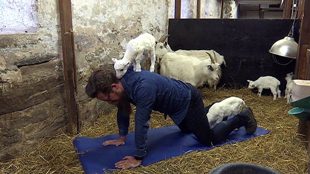 Henric Nilsson på Stättareds 4H-gård demonstrerar getyoga.