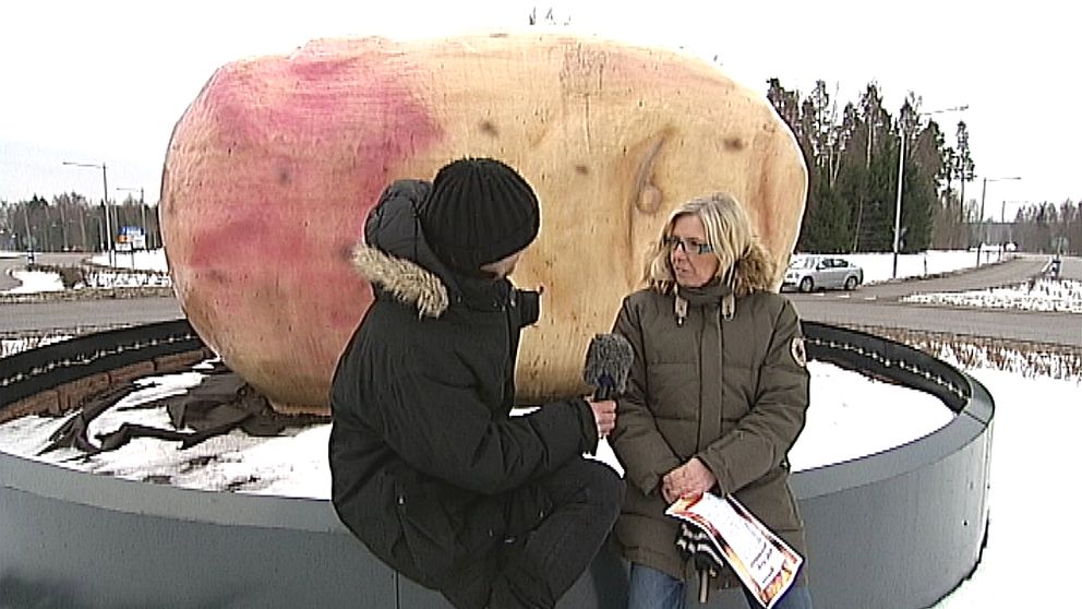 rondellkonstverk mjölby potatis rondellkonst  Eva Rådeström, näringslivschef Mjölby