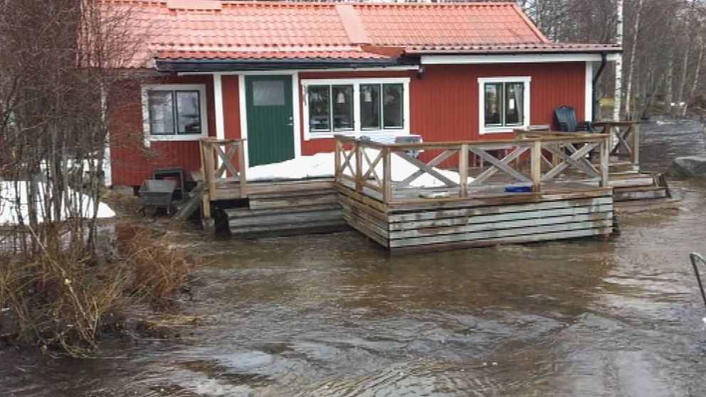 Vårfloden förväntas kulminera nästa vecka i Västernorrland.