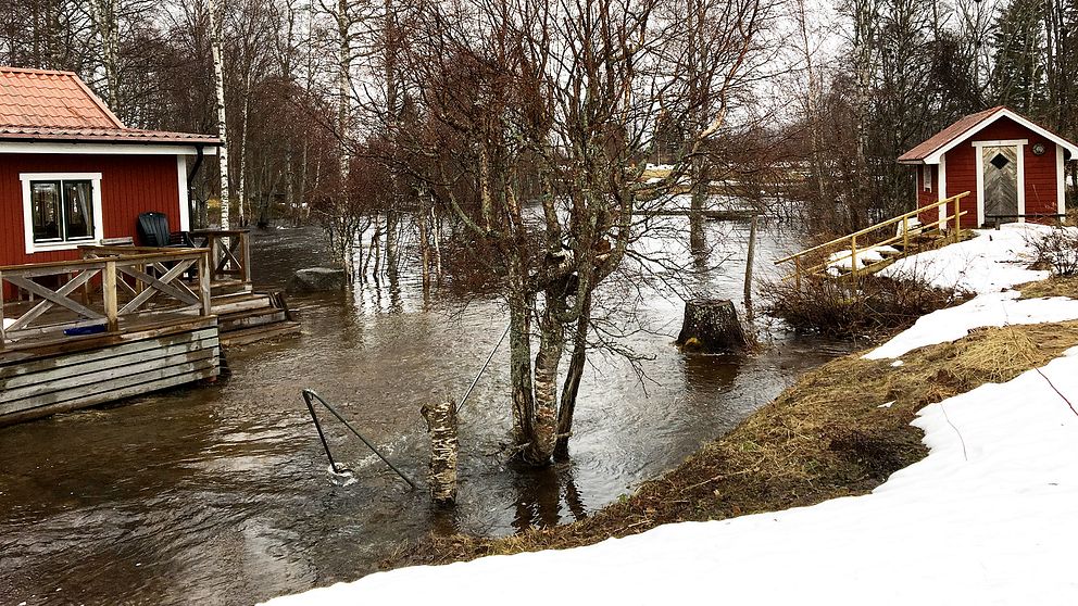 Nivåerna fortsätter stiga främst i små och medelstora vattendrag och än är inte kulmen nådd enligt SMHI.
