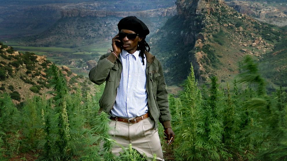 Kotsoana, en av många marijuanaodlare som hoppas få en licens för odlande av medicinsk marijuana.