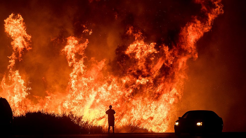 December 2017. En bilförare betraktar Thomasbranden vid Highway 101 i Kalifornien. Branden slukade över 1 000 byggnader, och fick president Donald Trump att utropa katastroftillstånd i delstaten.