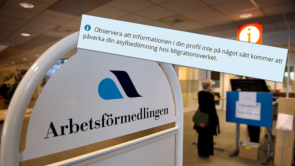 Löftet till asylsökande i jobbtjänsten Jobskills